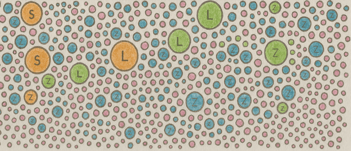 Diagram of fill-in plants for ecological planting