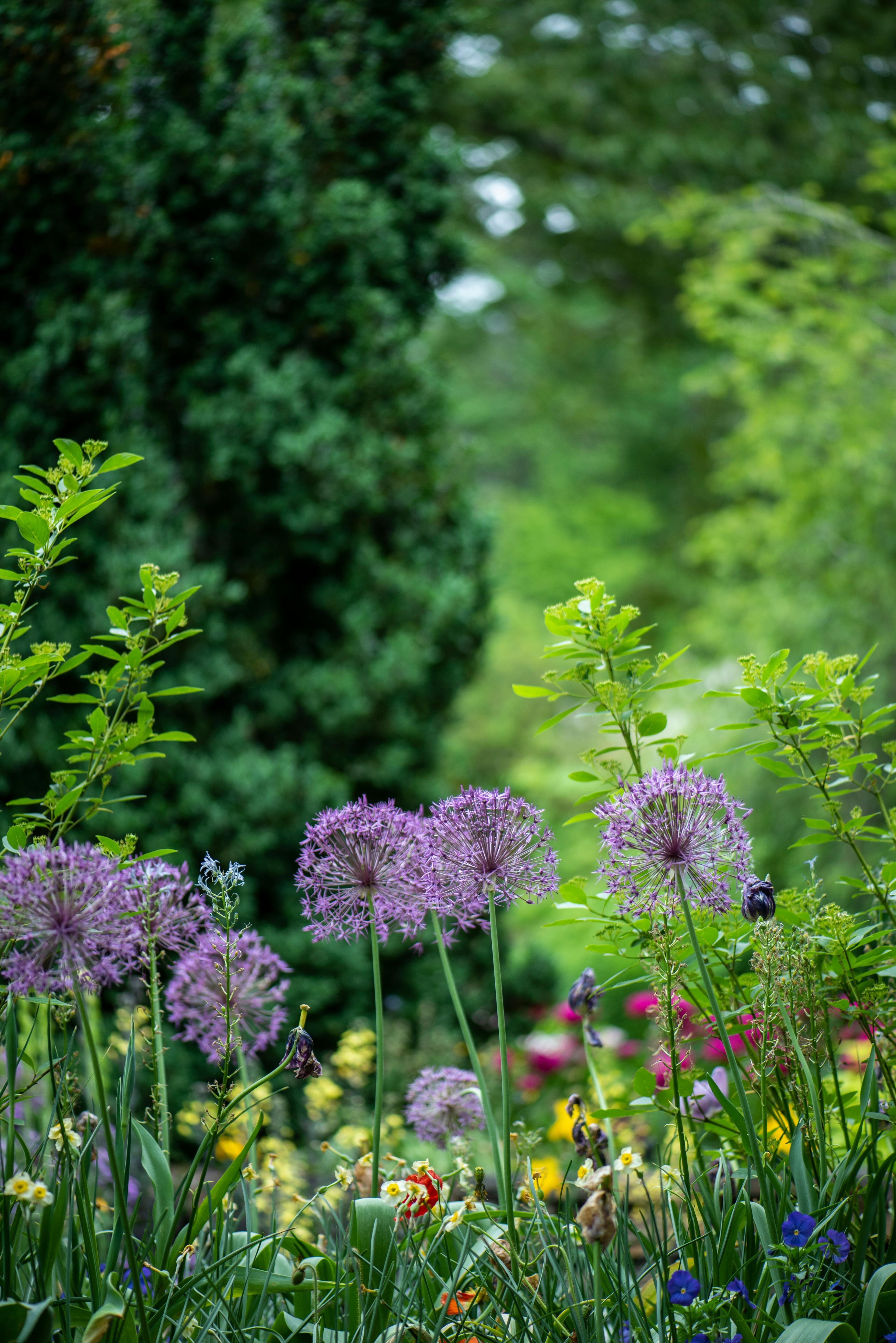 Garden design background