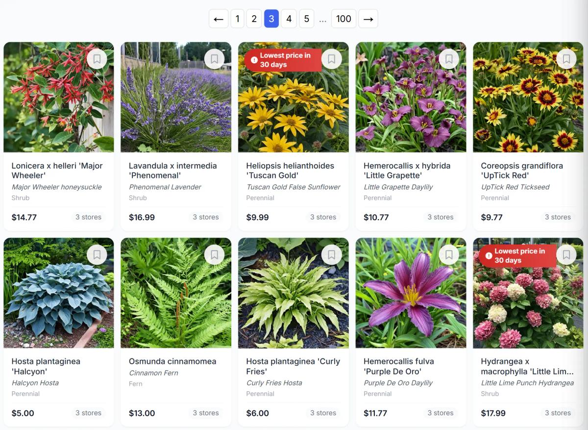 Sow Marketplace