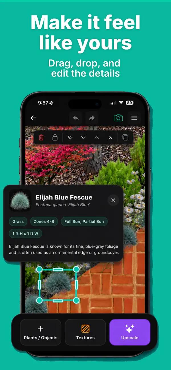 Drag-and-drop garden design editor in the Sow app with plant details for Elijah Blue Fescue