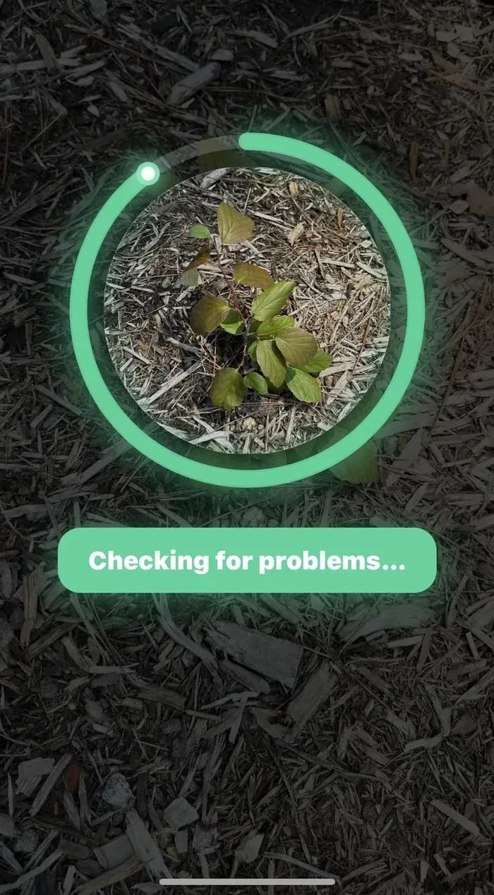 Scan the affected plant