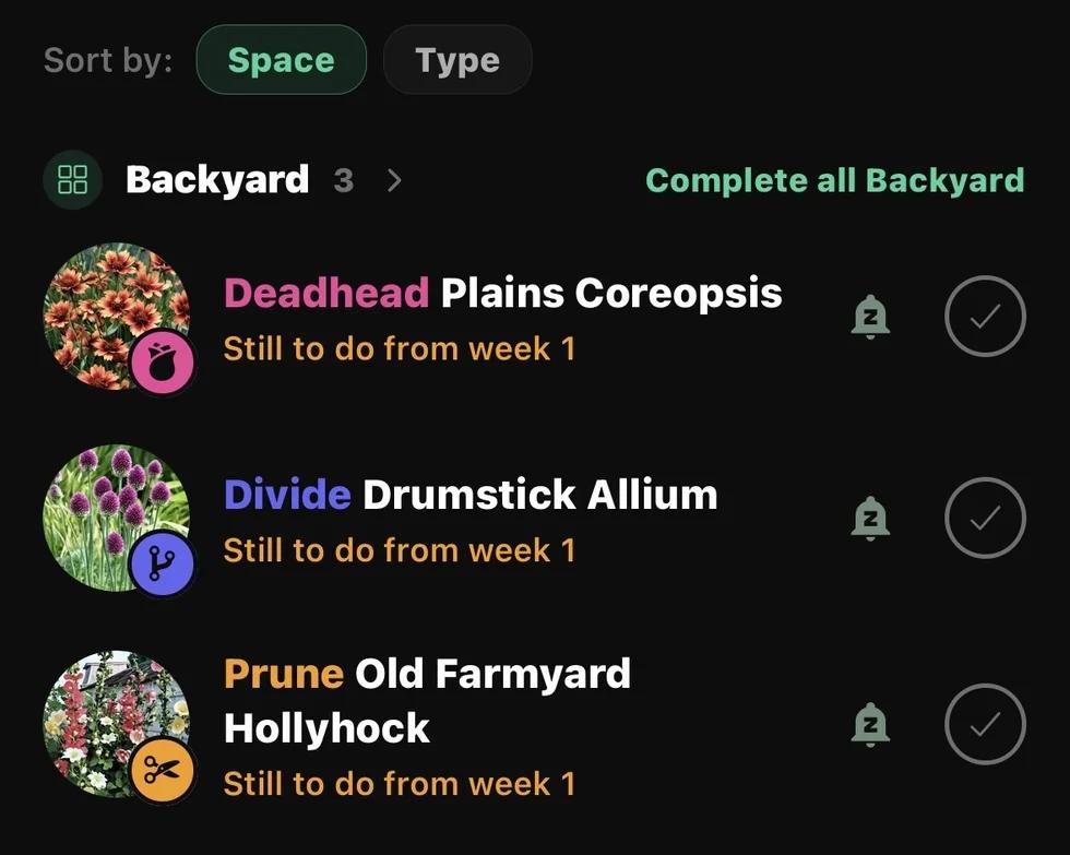 A Sow care list: deadhead, divide and prune tasks for plants in the backyard