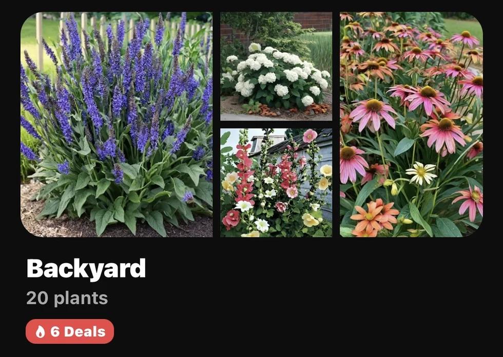 A Sow space card for the backyard showing its plants and current deals