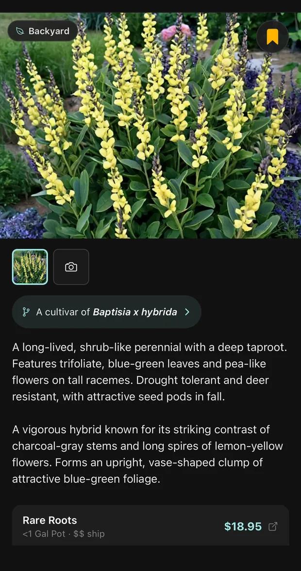 A Sow plant detail page