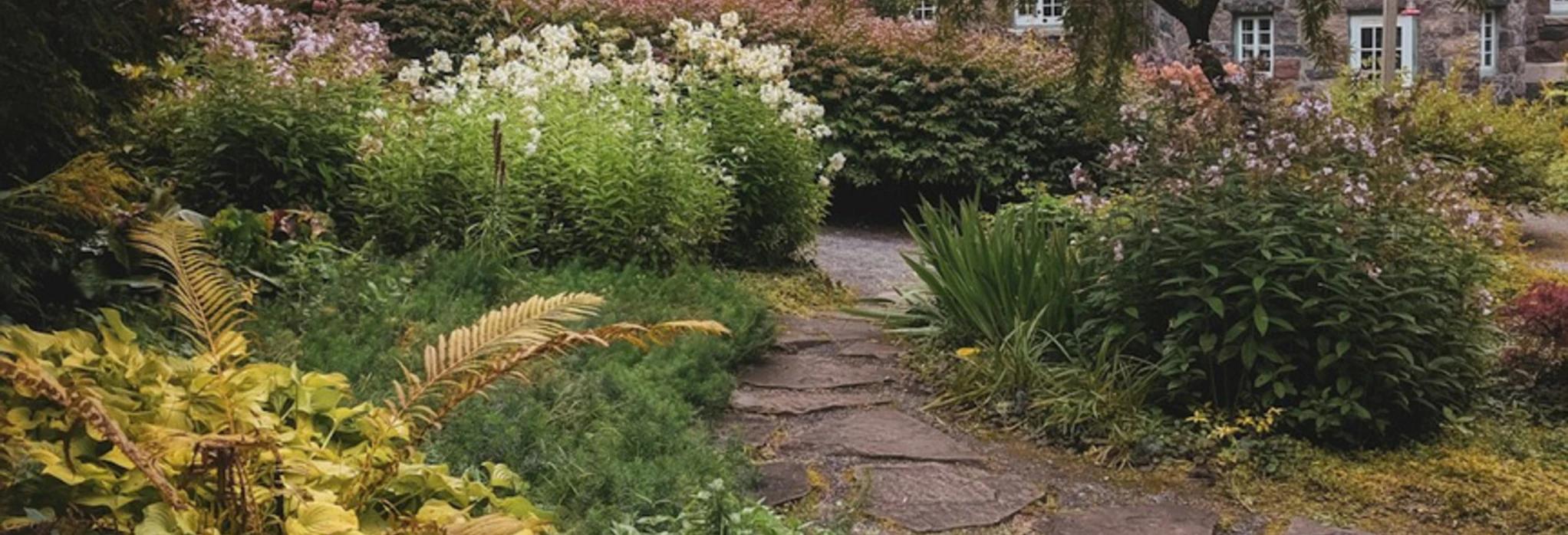 A lush perennial garden with a stone path through layered foliage and flowers