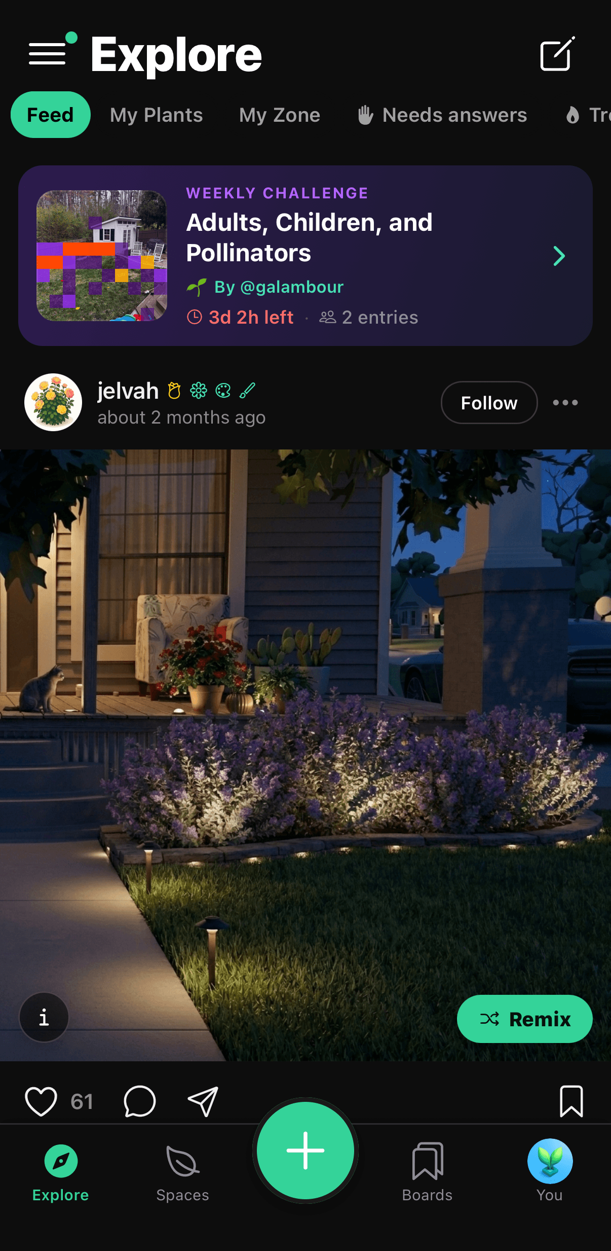The Sow explore feed showing a lit garden path and border shared by another gardener.