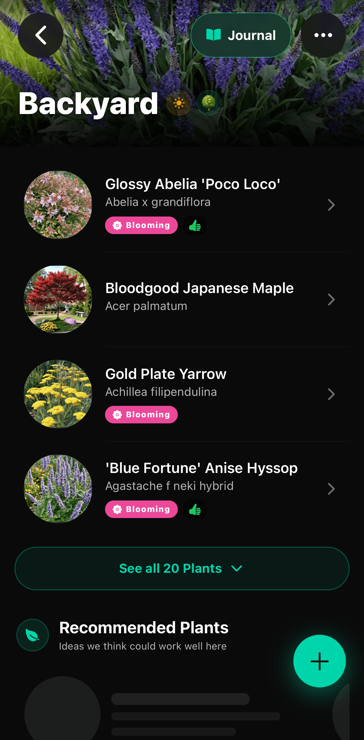A Sow garden space listing the plants growing in it with their blooming status.