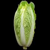 Chinese Cabbage