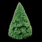 Dwarf Alberta Spruce