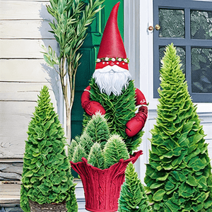 Thuja occidentalis 'Holiday Gnome'