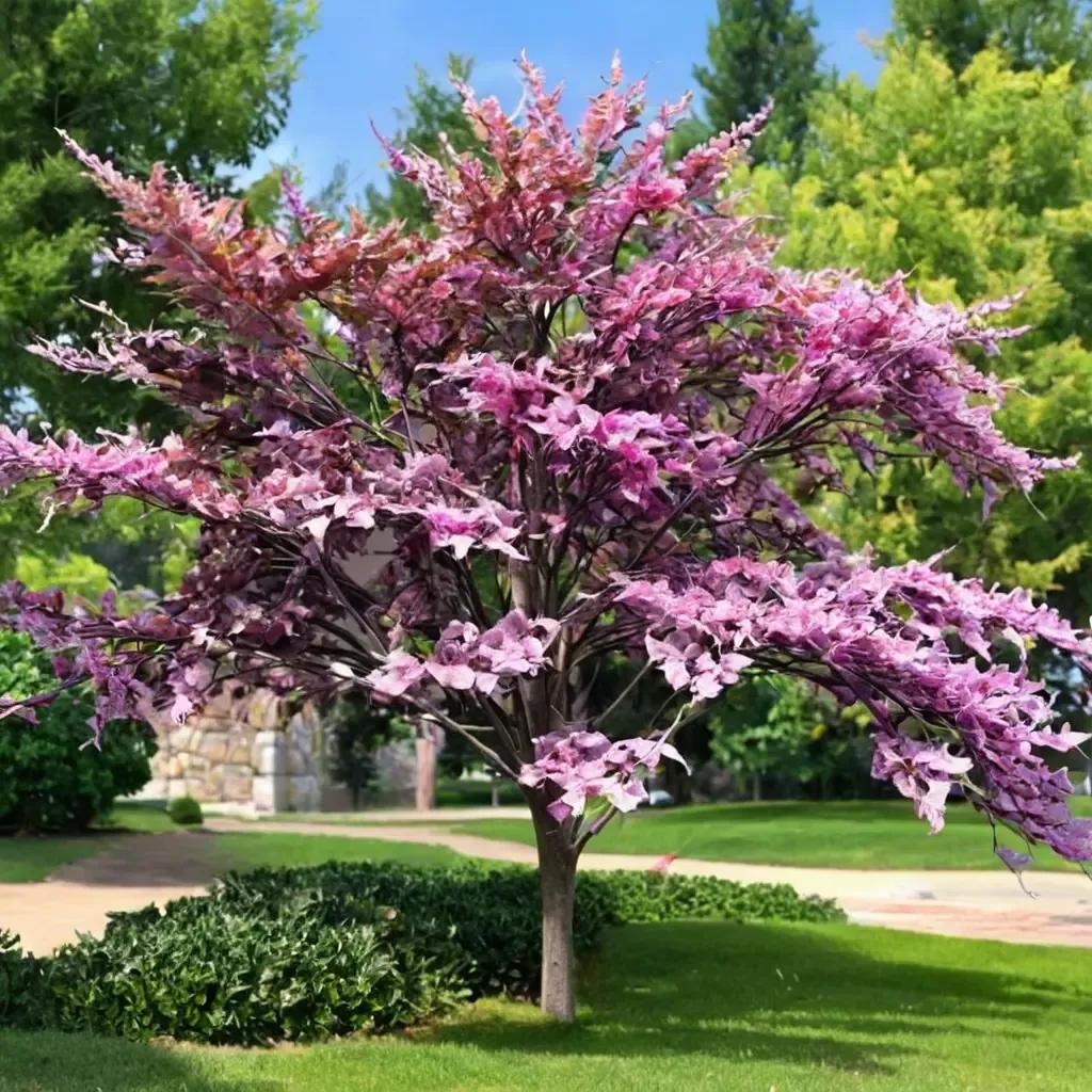 Eastern Redbud Forest Pansy