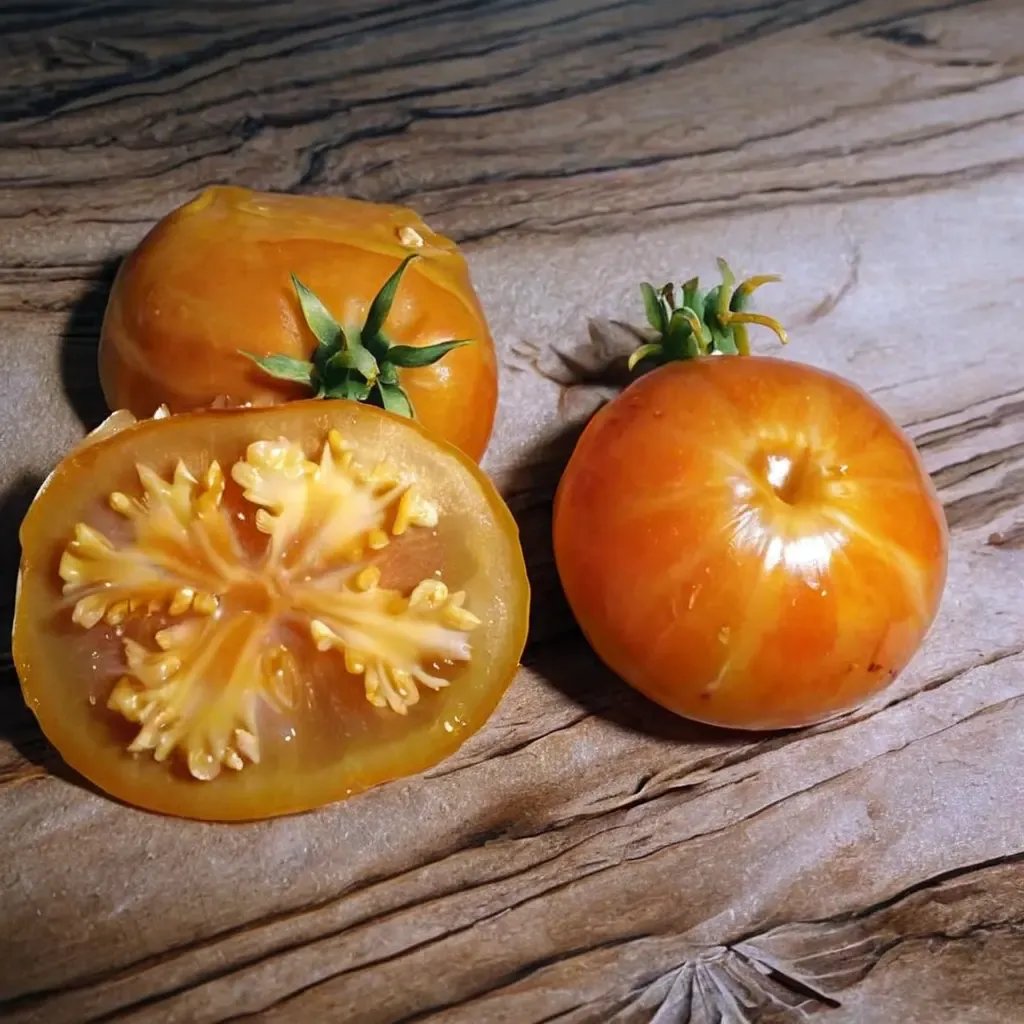 Solanum lycopersicum 'AAA Sweet Solano'