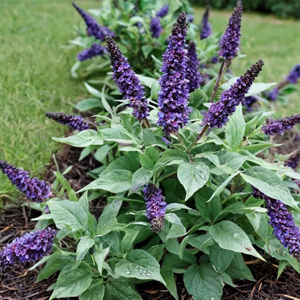 Pugster Blue Butterfly Bush